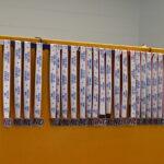 noah-strong-day-2024-TMZ_6481