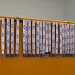 noah-strong-day-2024-TMZ_6482