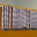 noah-strong-day-2024-TMZ_6483